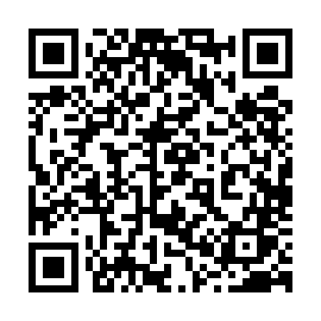 QR code for 2005NS