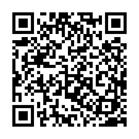 QR code for 2005VI