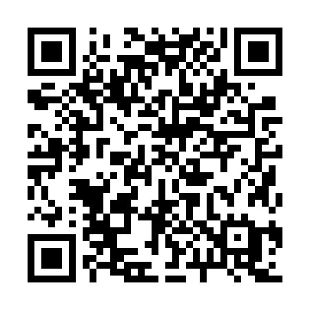 QR code for 2006ZE