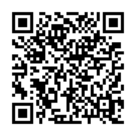 QR code for 2007AL