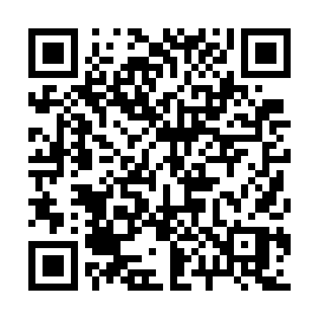 QR code for 2007DP