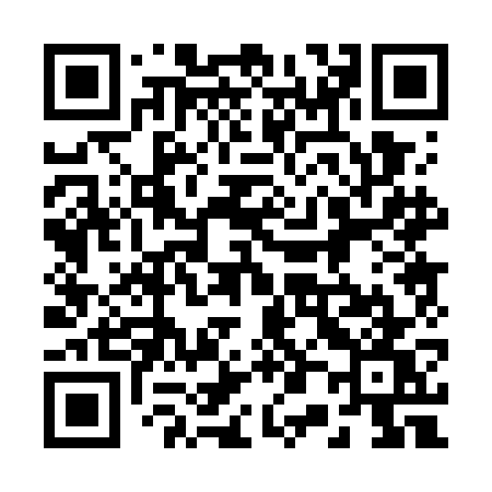 QR code for 2007GW