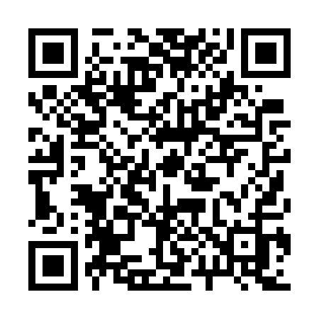 QR code for 2007QJ