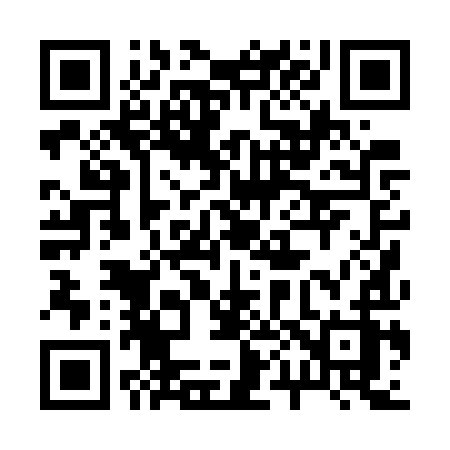 QR code for 2007YZ