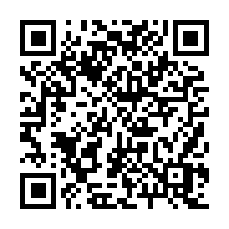 QR code for 2008DV