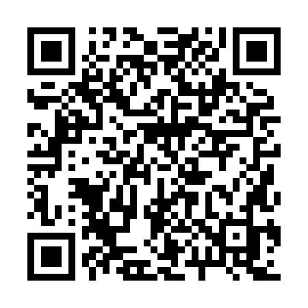 QR code for 2008LJ
