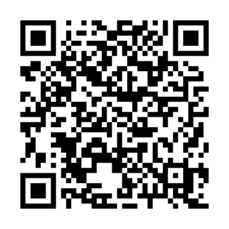 QR code for 2008SI