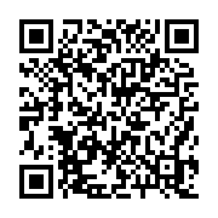 QR code for 2008VJ