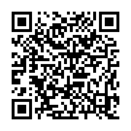 QR code for 2008XK