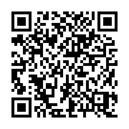 QR code for 2008ZP