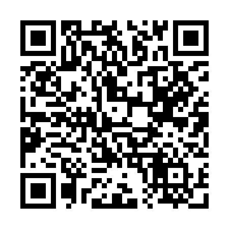 QR code for 2009CV