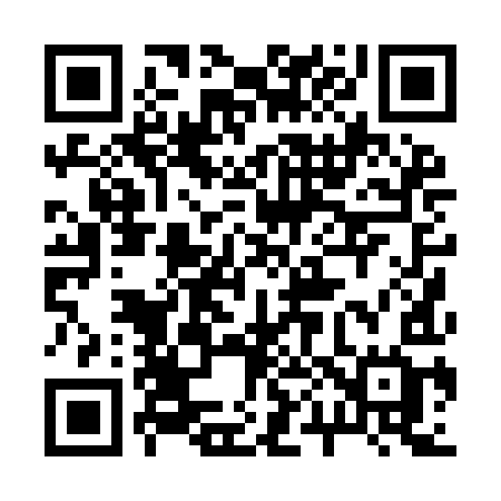 QR code for 2009IG