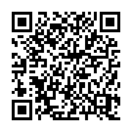 QR code for 2009ST