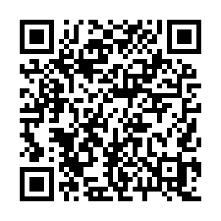 QR code for 2009UI
