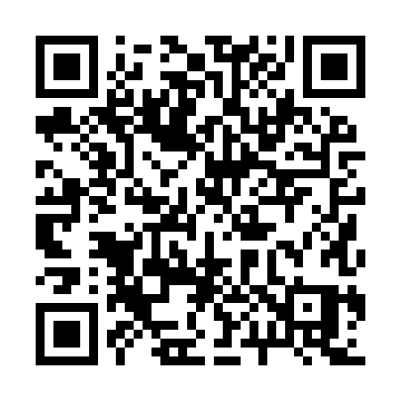 QR code for 2009XQ