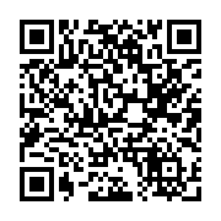 QR code for 2009YV