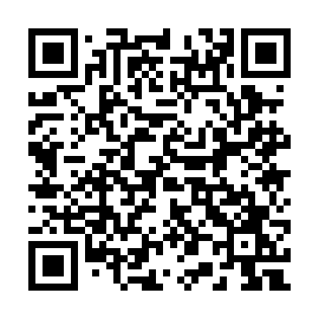 QR code for 2010FO