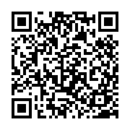 QR code for 2010GW