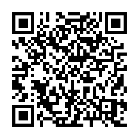 QR code for 2010SS