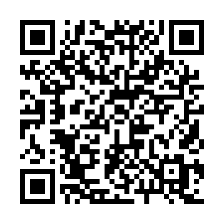 QR code for 2011DM