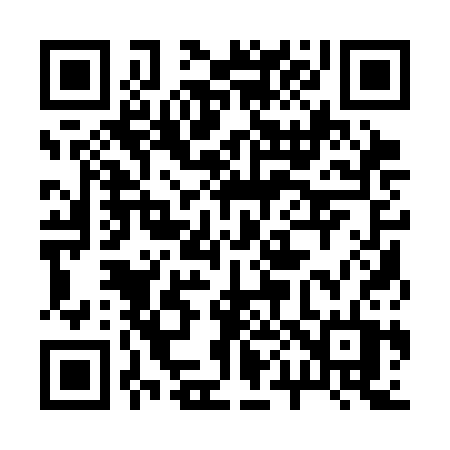 QR code for 2013CT
