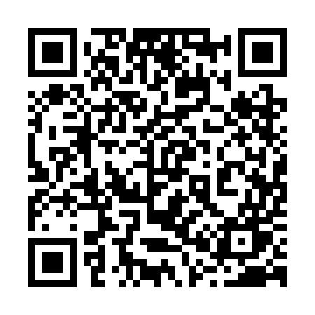 QR code for 2013EW