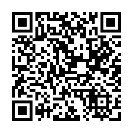 QR code for 2013GI