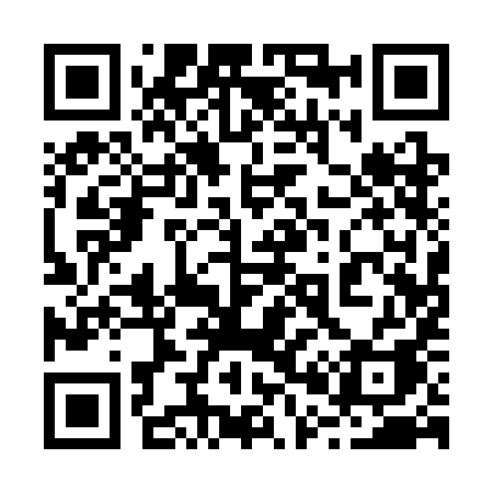 QR code for 2013IA
