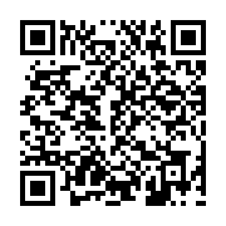 QR code for 2013OK