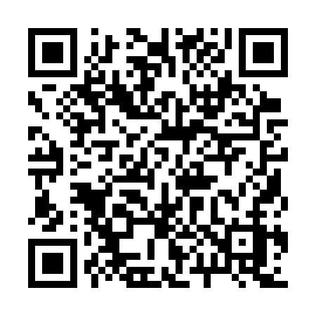 QR code for 2013SZ