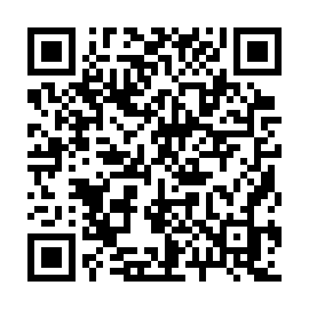 QR code for 2013VJ