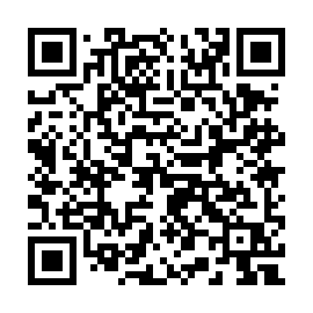 QR code for 2014IP