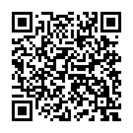 QR code for 2020IO