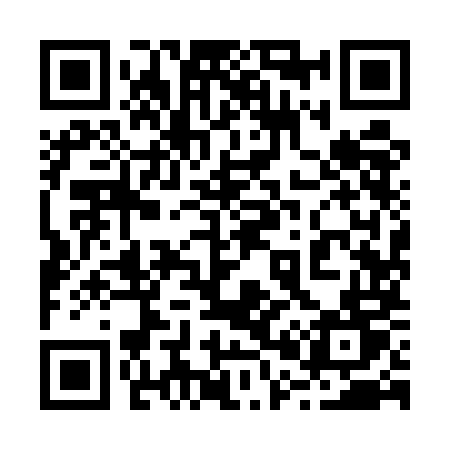 QR code for 2095MT