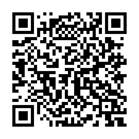 QR code for 2290DS