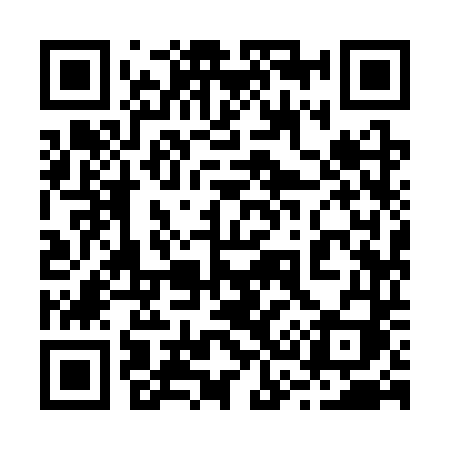 QR code for 2393TI