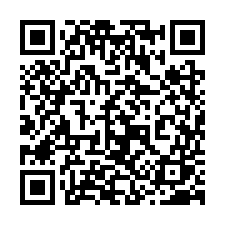 QR code for 2393US