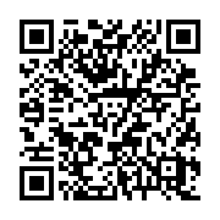 QR code for 2463FX