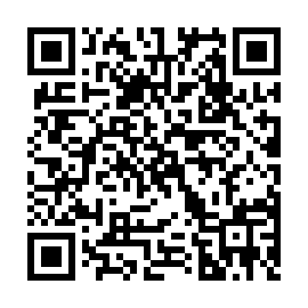 QR code for 2641IQ