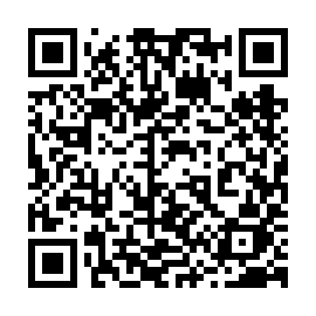 QR code for 2656IJ