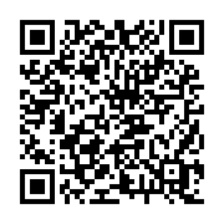 QR code for 2729DF