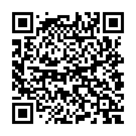 QR code for 2869ZD