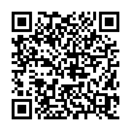 QR code for 2900LB