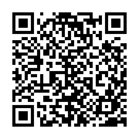 QR code for 2919AN