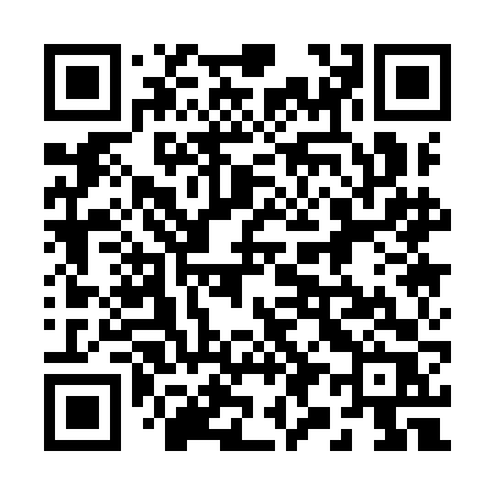 QR code for 2919FR
