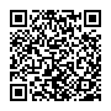 QR code for 2919HY