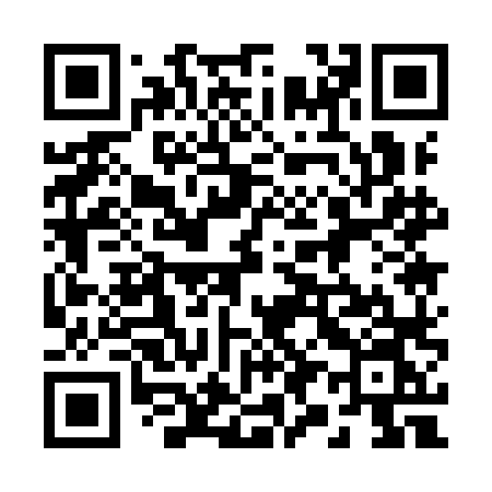 QR code for 2919LN