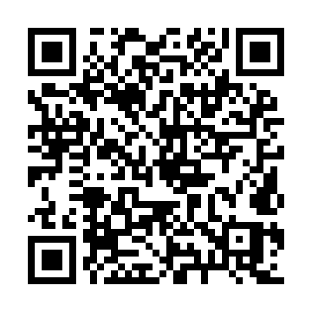 QR code for 2919MQ