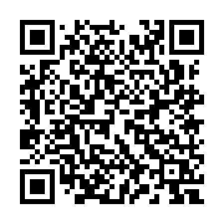 QR code for 2919MR