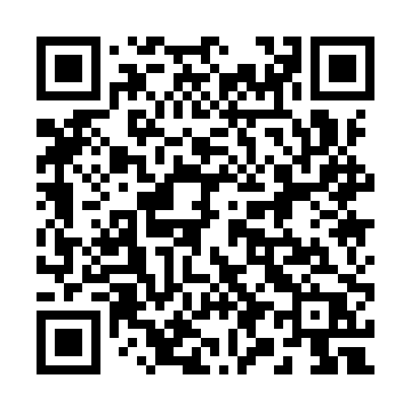 QR code for 2919PP